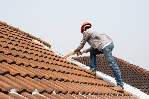 Best Tile Roofing Installation  in Elizabethton, TN